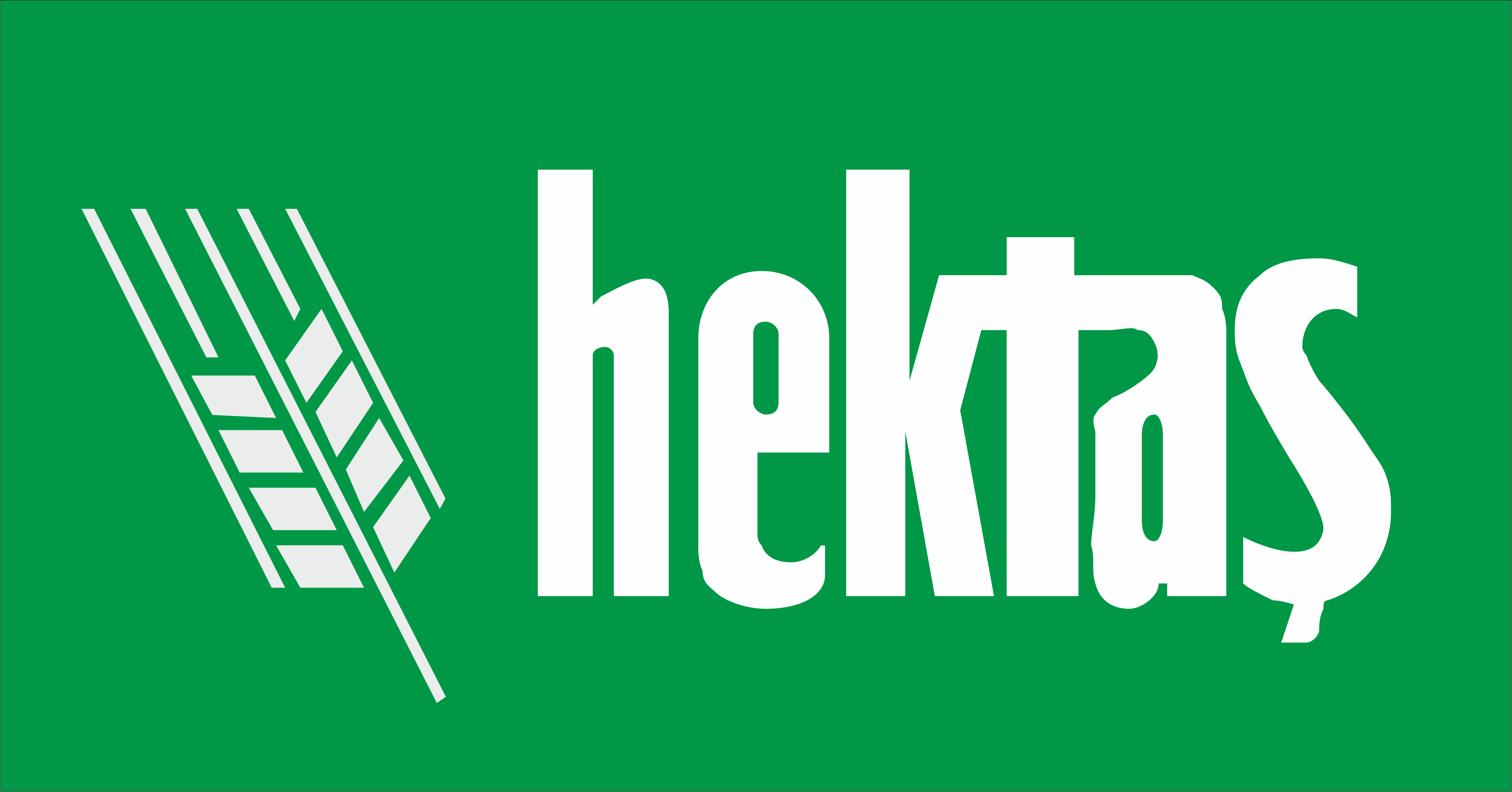 Hektaş