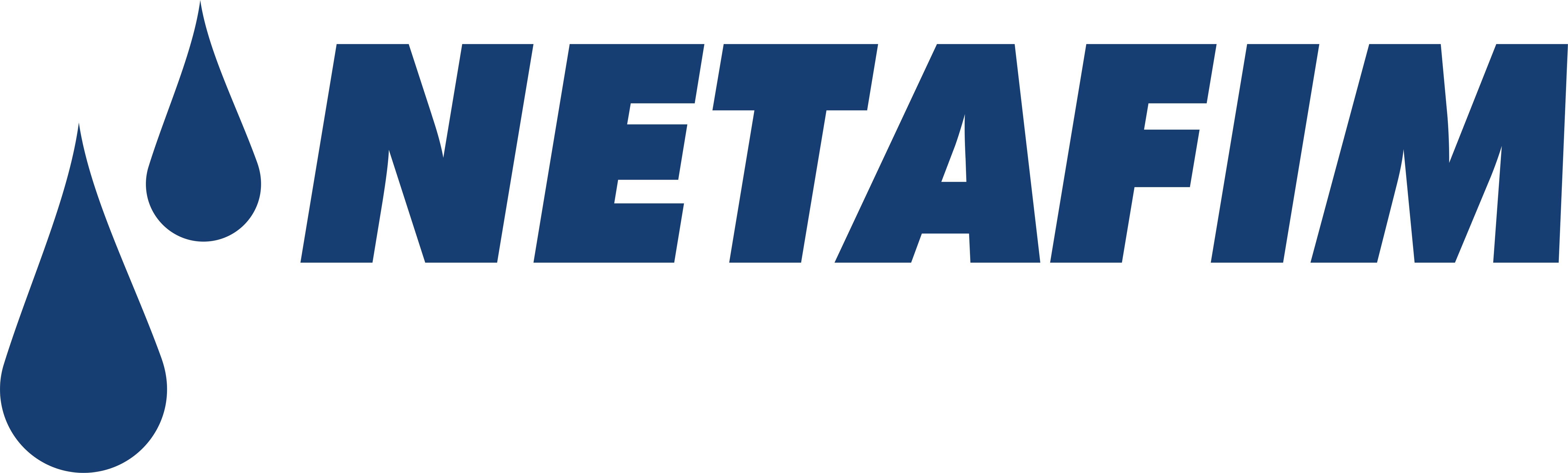 Netafim